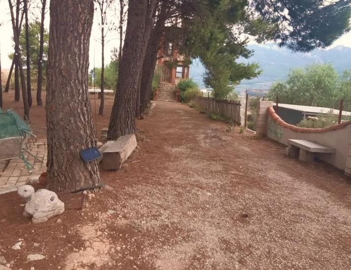 Sale - Finca - 