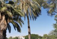 Sale - Apartments - Orihuela Costa