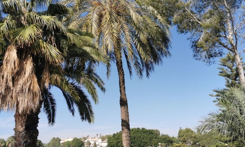 Sale - Apartments - Orihuela Costa