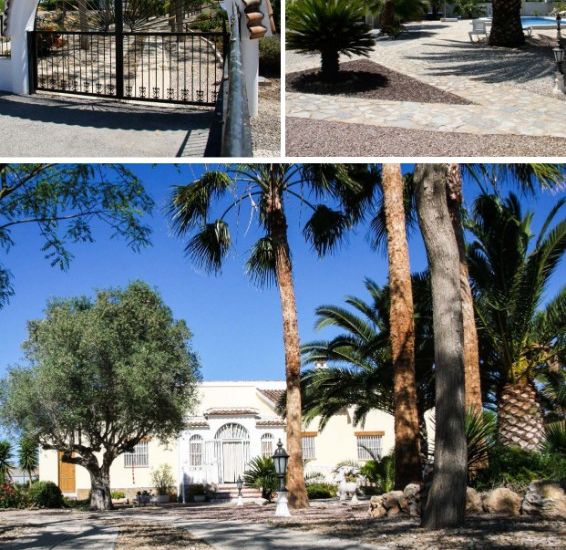 Sale - Finca Country Property - Daya Vieja