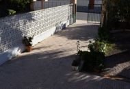 Sale - Villa - La Siesta