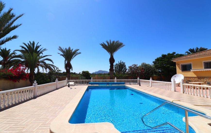 Sale - Finca - Catral
