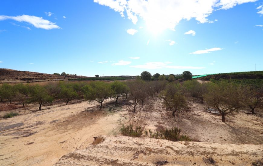 Sale - Land - Torremendo