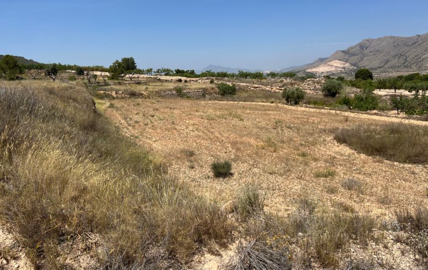 Sale - Land - Hondon de los Frailes