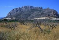 New Build - Apartments - El Verger