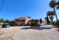 Sale - Finca - Catral