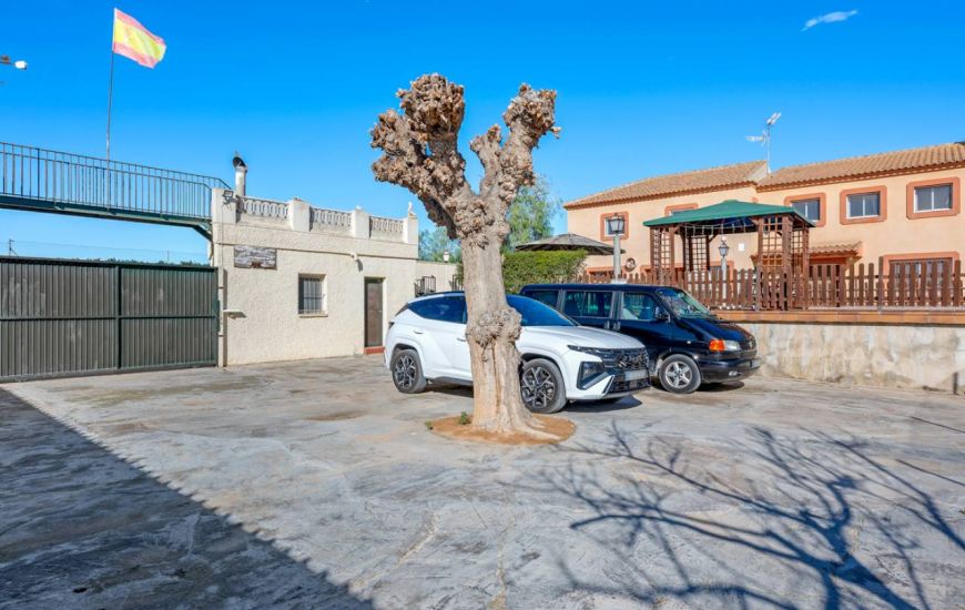 Sale -  - Los Montesinos - 