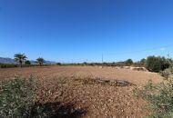 Sale - Finca - Crevillente