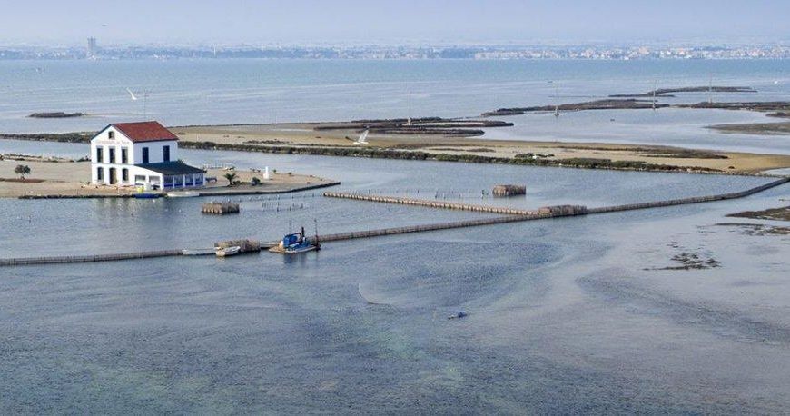 Nueva construcción  - Apartamentos - San Pedro del Pinatar