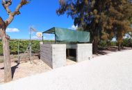 Sale - Country Property - Callosa de Segura