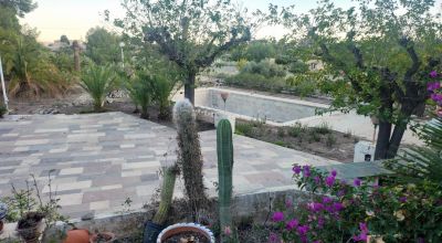 Casa Rural - Venta - Novelda - Novelda