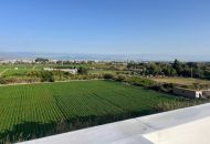 Venta - Apartamentos - Algorfa