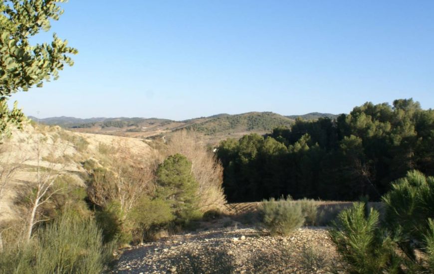 Sale - Land - Murcia
