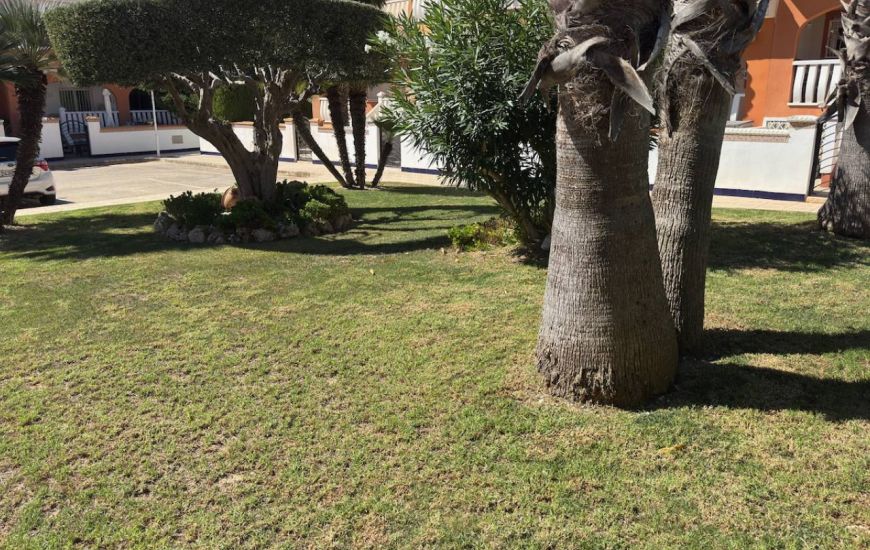 Sale - Villa - Ciudad Quesada