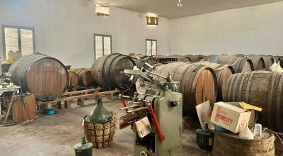 Casa Rural - Venta - Novelda - Novelda