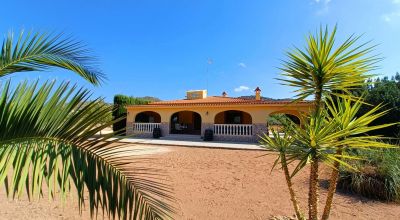 Finca - Sale - Aspe - Aspe