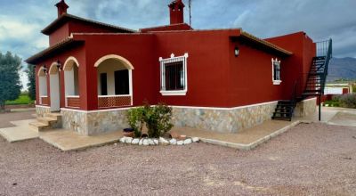 Apartamentos - Venta - Orihuela - Orihuela