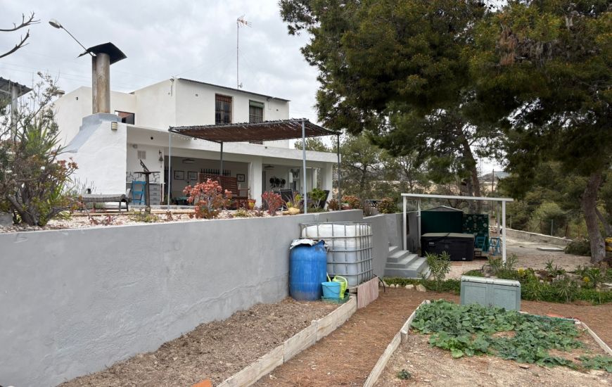 Sale - Finca - Elche