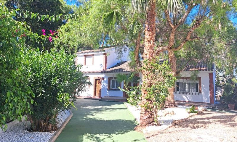 Sale - Finca - Orihuela