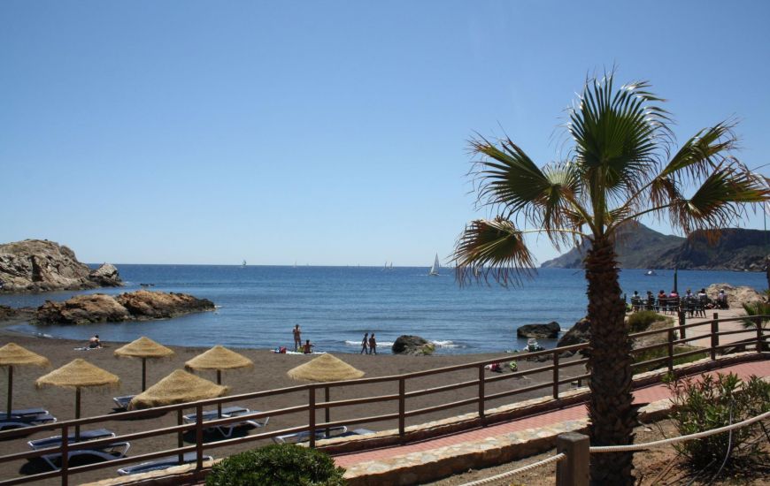 New Build - Townhouse - 