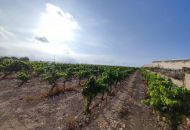 Venta - Terreno - Novelda