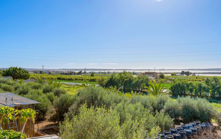 Sale -  - Los Montesinos - 