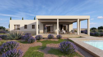 Villa - New Build - Pinoso - Pinoso