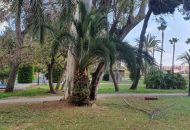 Sale - Apartments - Torrevieja
