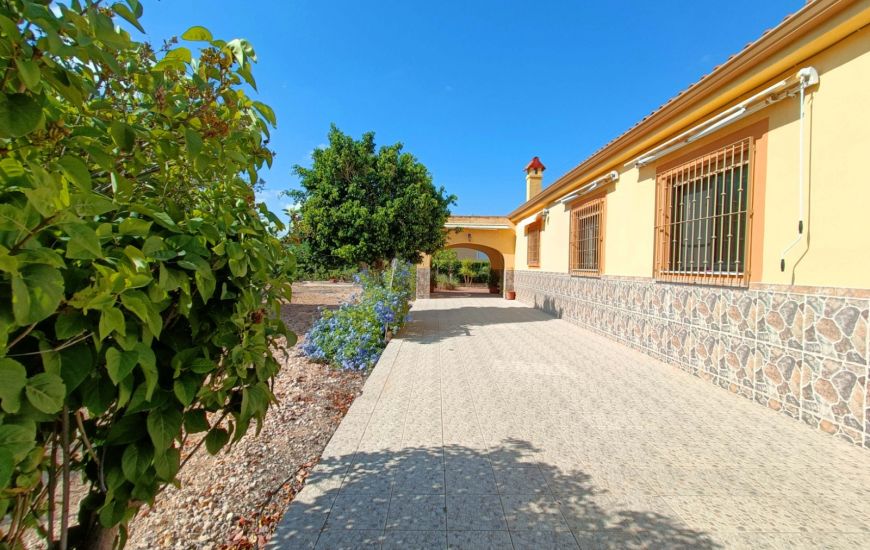 Venta - Casa Rural - Aspe