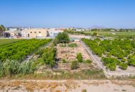 Sale - Land - Formentera Del Segura - Formentera de Segura