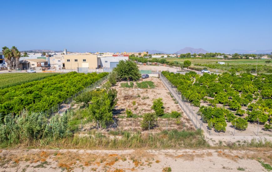 Sale - Land - Formentera Del Segura - Formentera de Segura