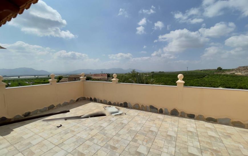 Sale - Finca - Orihuela