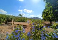 Venta - Casa Rural - Aspe