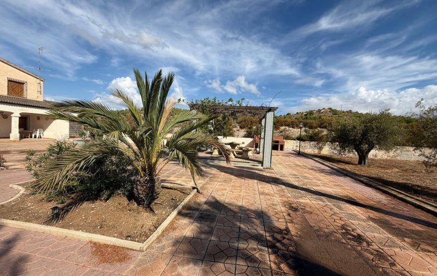 Sale - Villa - Aspe