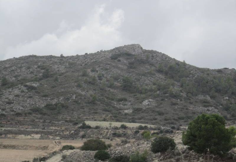 Sale - Land - Novelda