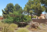 Venta - Terreno - Algorfa