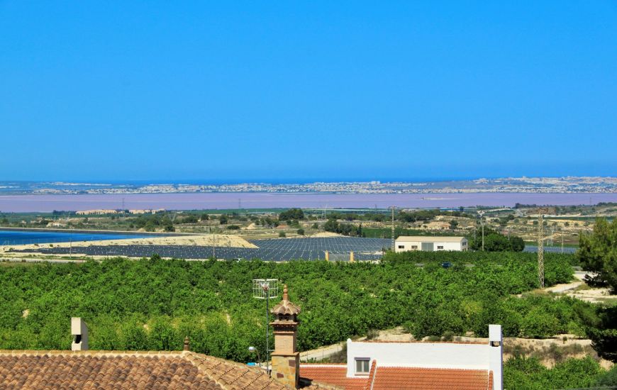 Sale - Villa - San Miguel de Salinas - San Miguel De Salinas