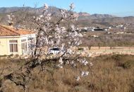 Sale - Land - Hondon de los Frailes