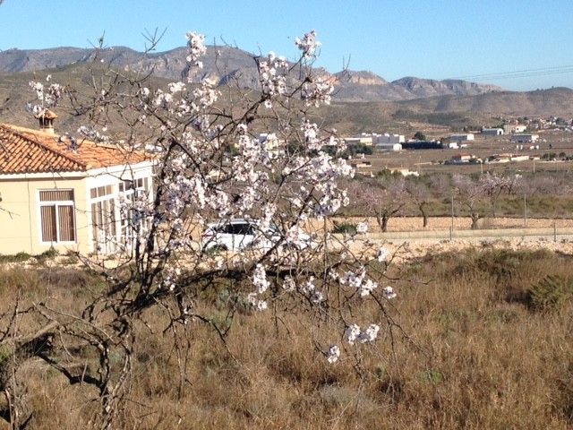 Sale - Land - Hondon de los Frailes