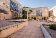 Sale -  - San Miguel de Salinas - 