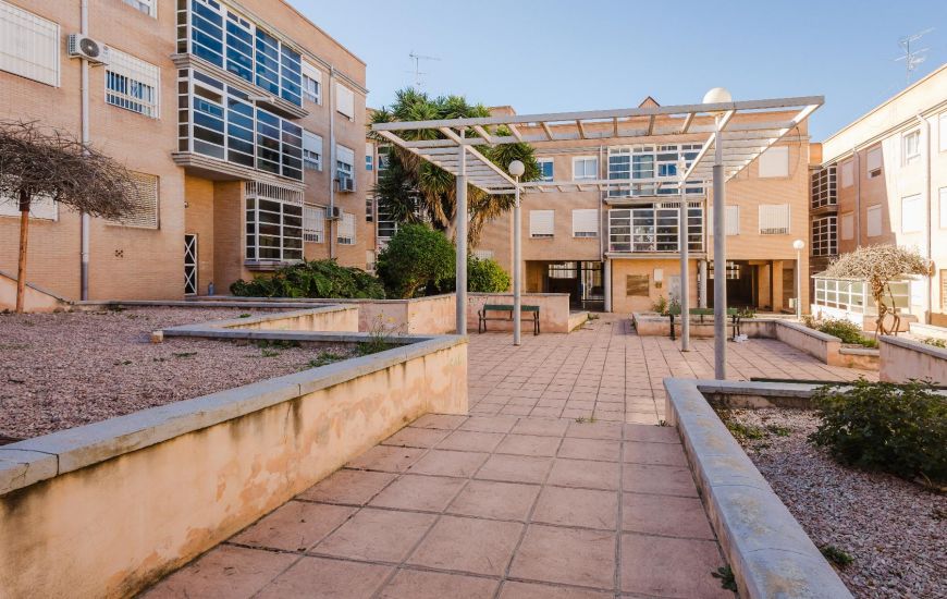 Sale -  - San Miguel de Salinas - 