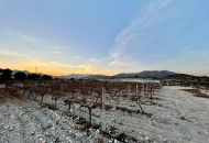 Sale - Land - Novelda