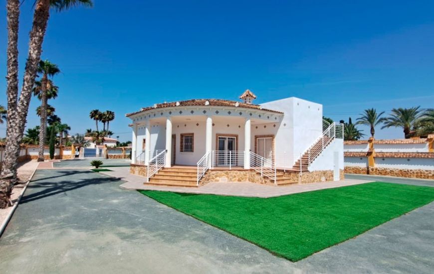 Sale - Finca - Catral