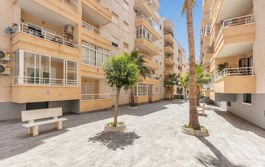 Venta - Apartamentos - Torrevieja