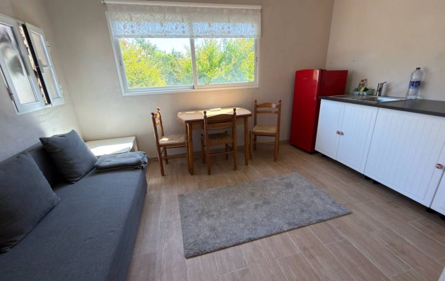 Sale - Finca - Catral