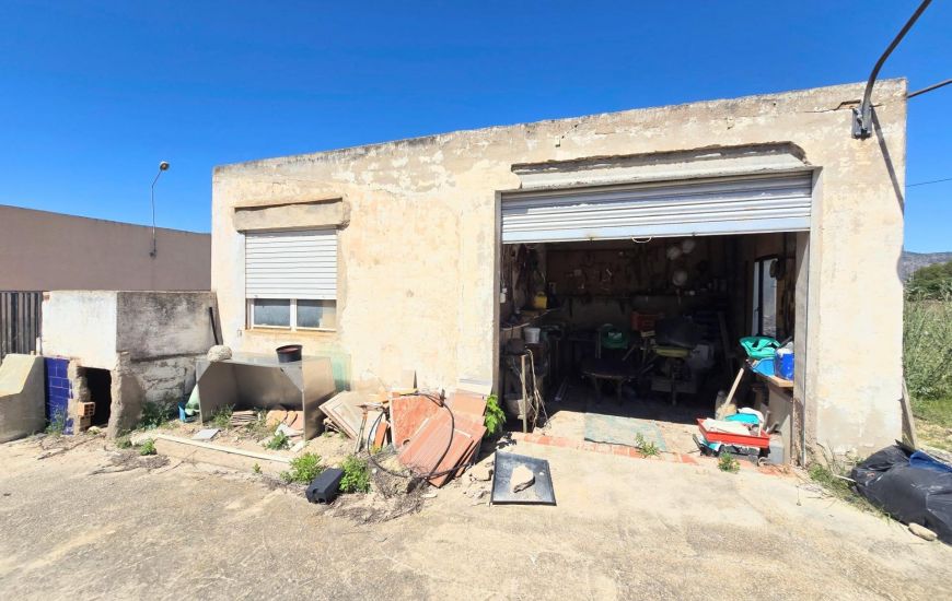 Sale - Finca - Salinas