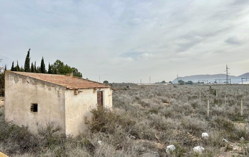 Venta - Terreno - Monforte del Cid