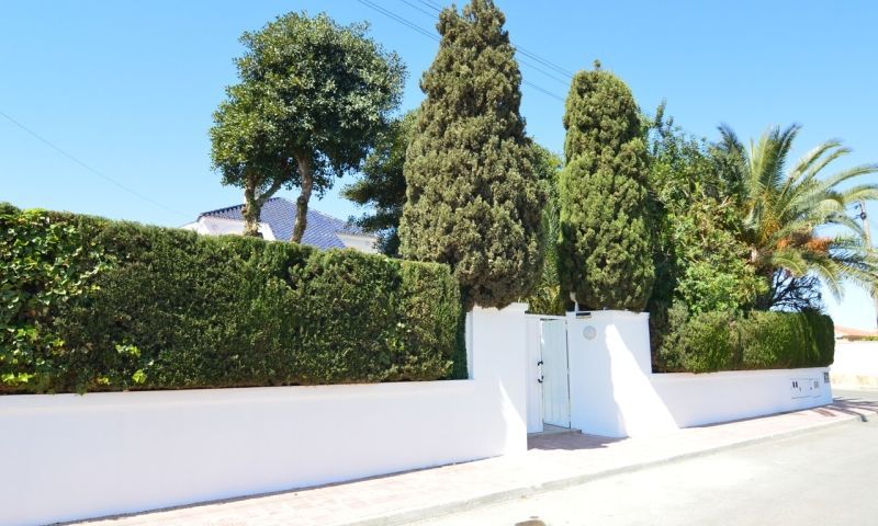 Sale - Apartments - Torrevieja