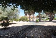 Sale - Villa - Daya Nueva