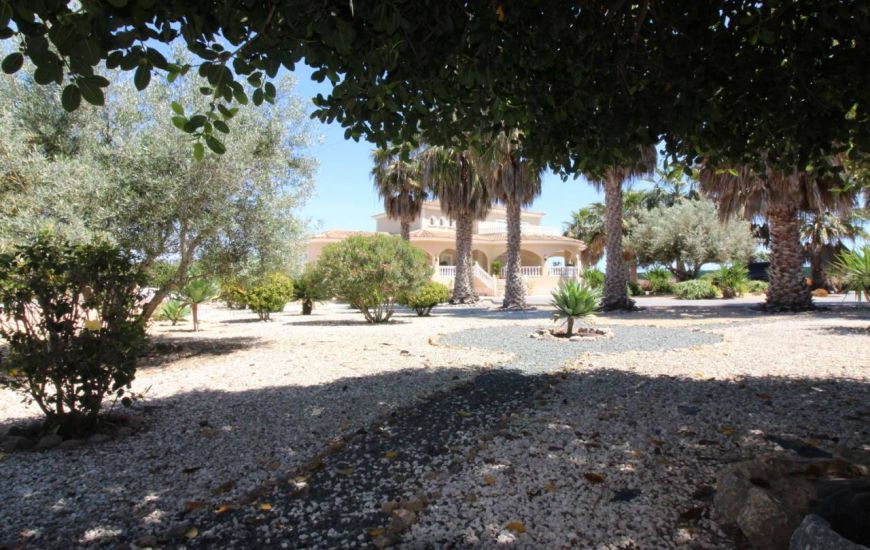 Sale - Villa - Daya Nueva